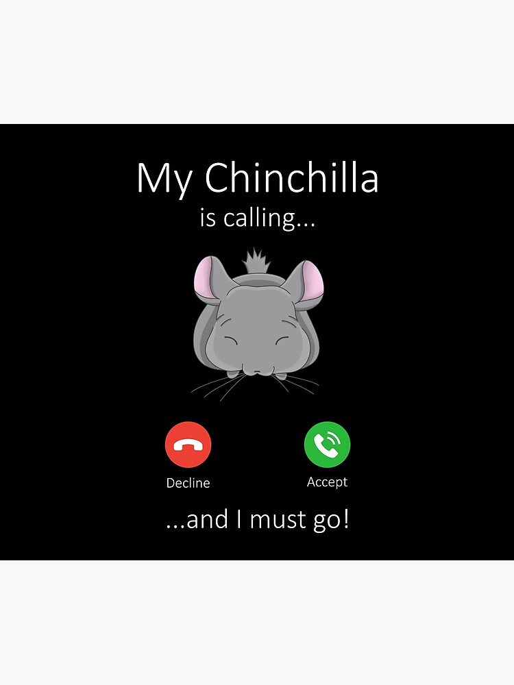 My Chinchilla is calling by EresseaYesta