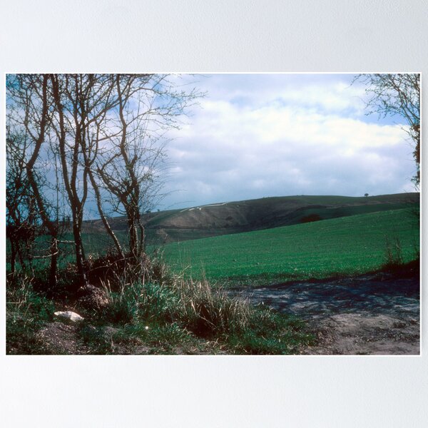 Item preview, Across the field to Uffington White Horse designed and sold by nealbarnett.