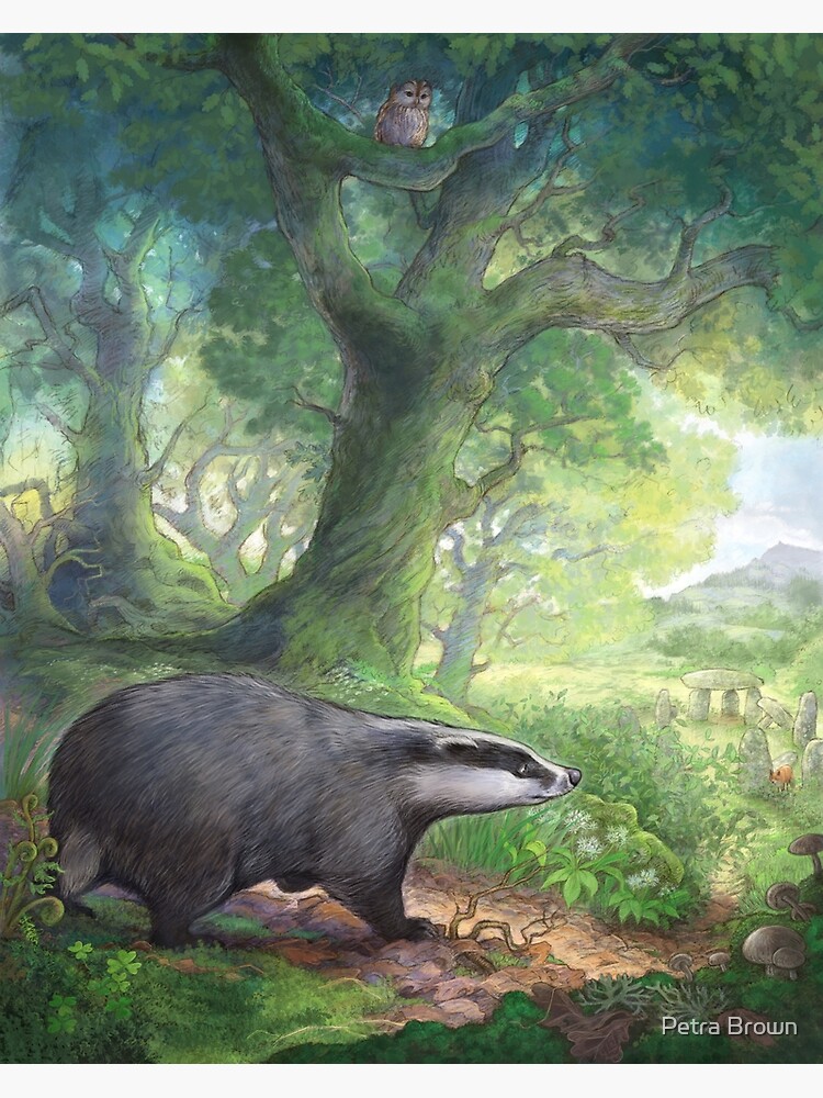 Badger in the woods by mydododied