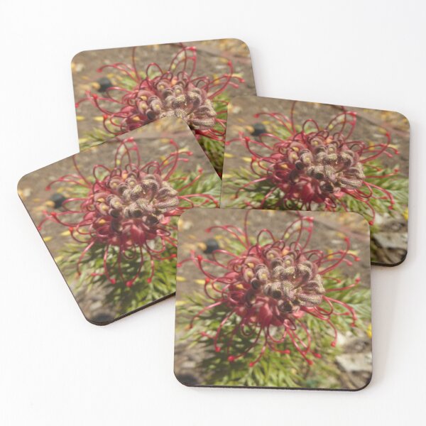 Item preview, Australian Native! Grevillea Robyn Gordon front garden. designed and sold by RitaBlom.