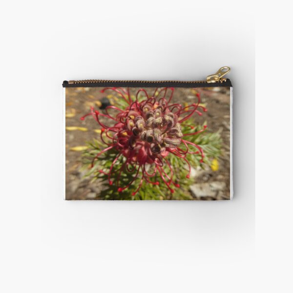 Item preview, Australian Native! Grevillea Robyn Gordon front garden. designed and sold by RitaBlom.