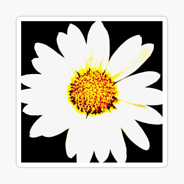 Bright Daisey Sticker