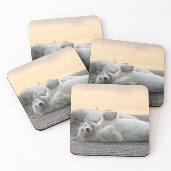 Item preview, Lindo oso polar designed and sold by Roger  Mackertich.