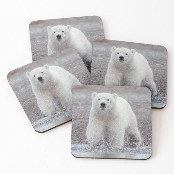 Item preview, Adolescent Polar Bear designed and sold by Roger  Mackertich.