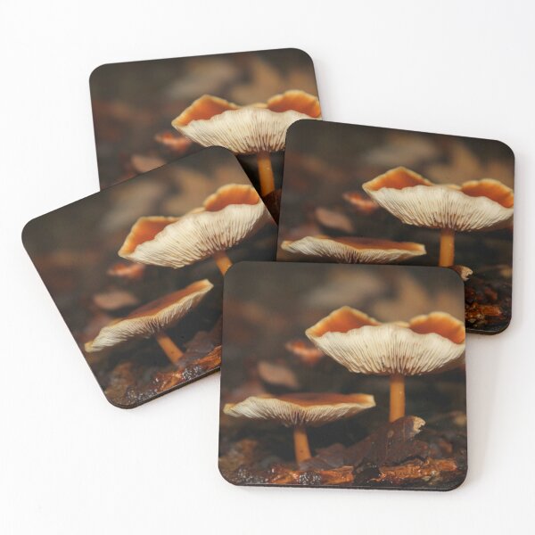 Item preview, Wild Mushrooms designed and sold by Vicki Spindler (VHS Photography).