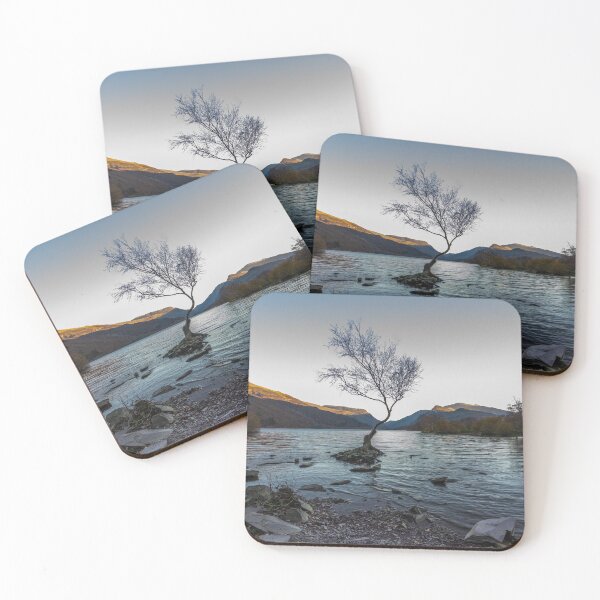 Item preview, The lone tree on evening, Llanberis, North Wales designed and sold by Andy Chisholm.