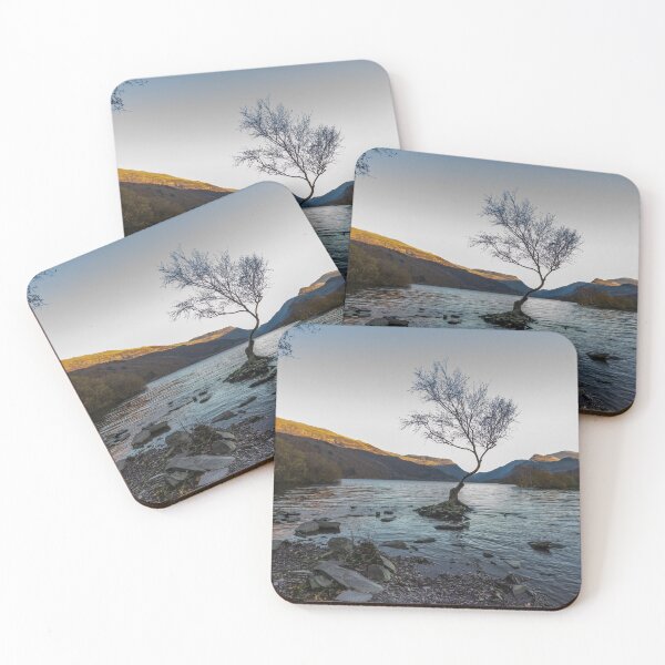 Item preview, The lone tree on evening, Llanberis, North Wales, Wide angle designed and sold by Andy Chisholm.