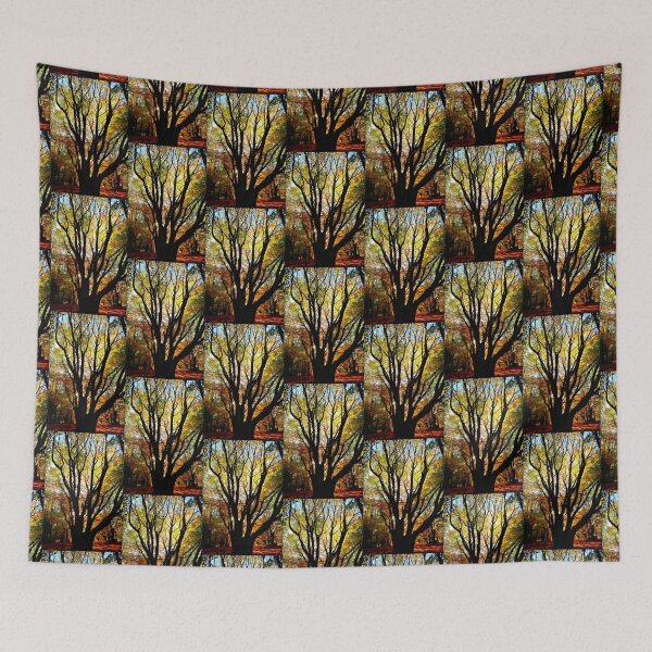 Item preview, Incredible beech tree with multiple trunks and autumn leaves sunlit from behind in Canfaito forest designed and sold by Kristina Drozd.