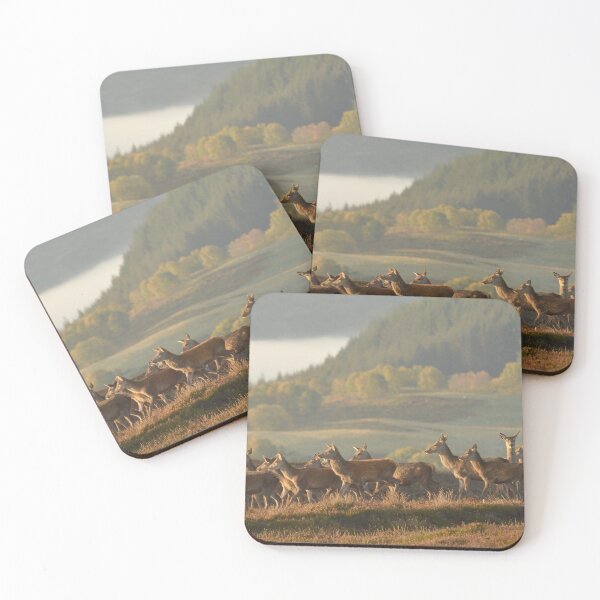 Item preview, Red Deer in Autumn designed and sold by Macrae images.