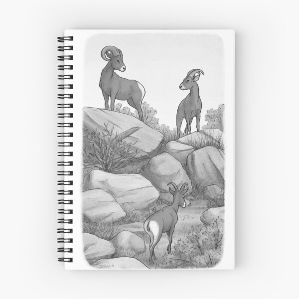 Aperçu de l'œuvre Mouflon du désert créée et vendue par Asterwild.