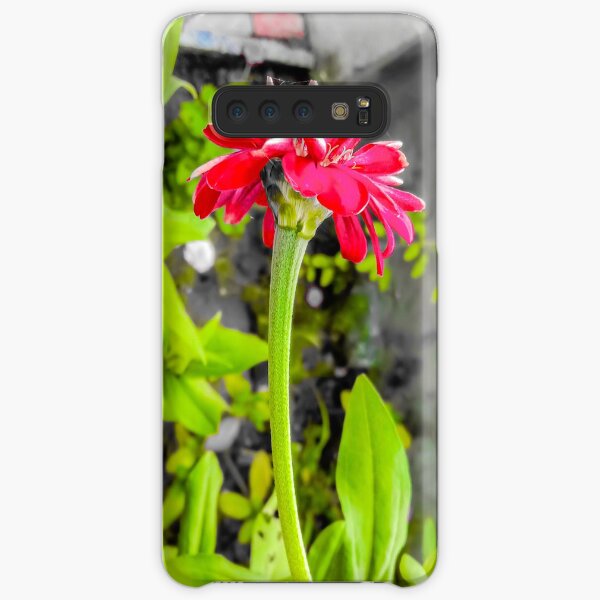 Pink vibrant Zinnia flower Samsung Galaxy Snap Case