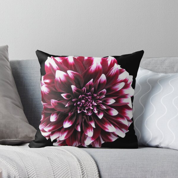 Item preview, Dalia designed and sold by Funny meme.