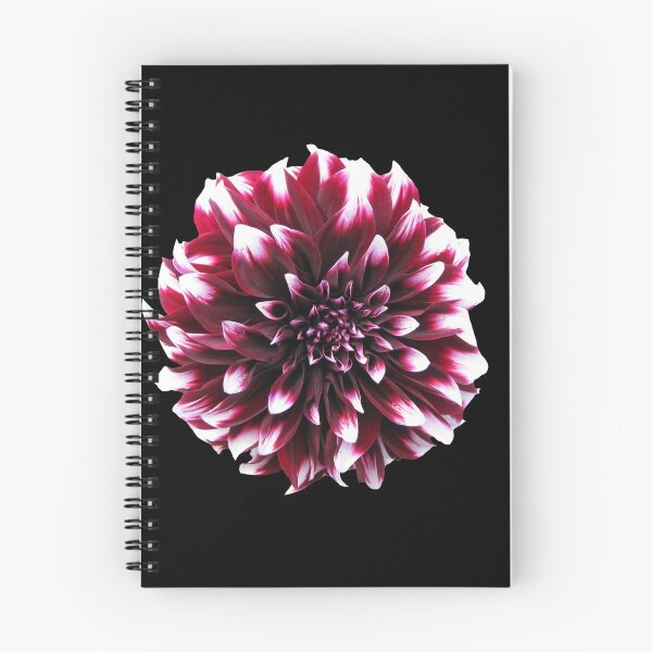 Item preview, Dalia  designed and sold by Discount code.