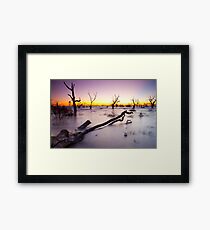 Lake Menindee 003 Framed Print