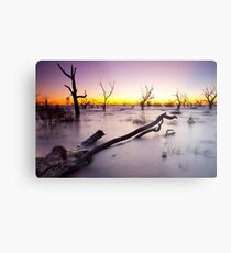 Lake Menindee 003 Metal Print