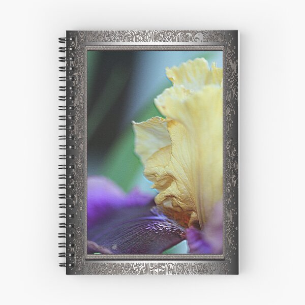 Item preview, Tall Bearded Iris named Final Episode designed and sold by JMcCombie.