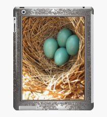 Four American Robin Eggs iPad Case/Skin