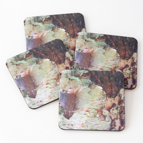 Item preview, Birch designed and sold by PlaidRat.