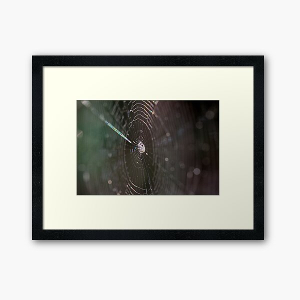 Item preview, Spider Web and Spider designed and sold by Gary Horner.