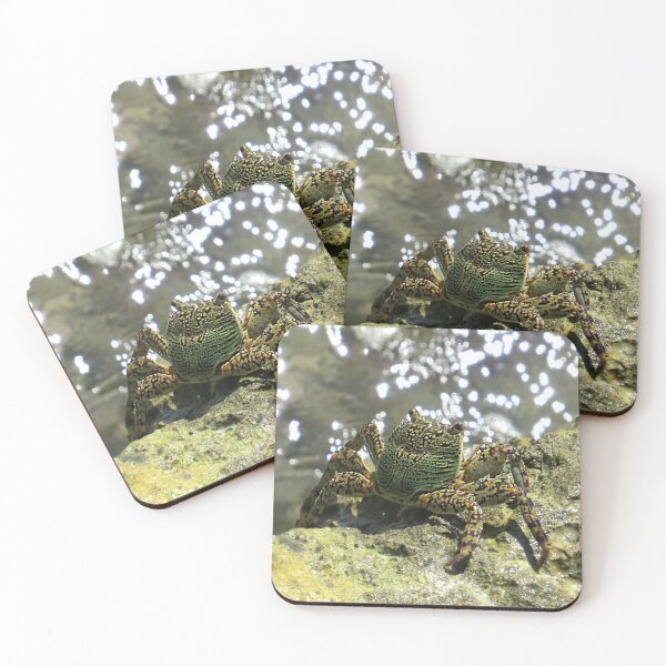 Item preview, Mottled Lightfoot Crab  designed and sold by Linda Walsh.