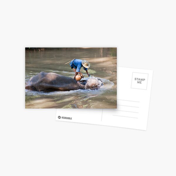 Item preview, Big Bath designed and sold by phil decocco.