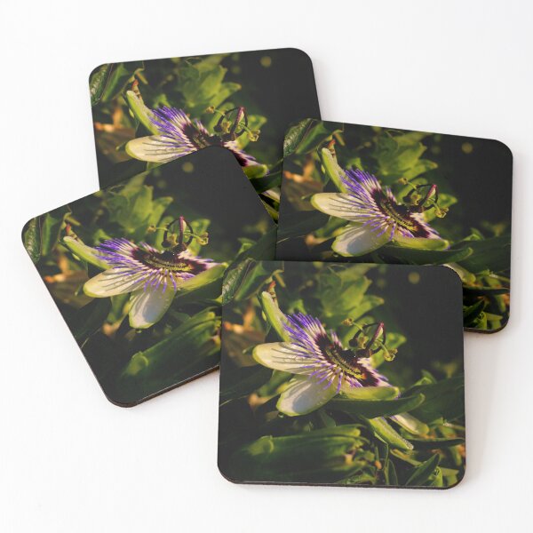Item preview, passionflower designed and sold by laura-S.