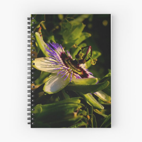 Item preview, passionflower designed and sold by laura-S.