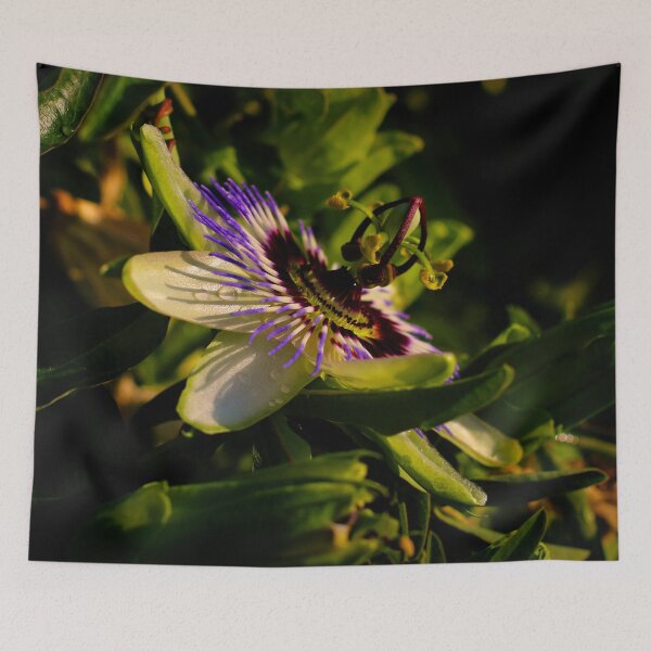 Item preview, passionflower designed and sold by laura-S.