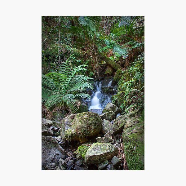 Item preview, Sherbrooke Creek, Dandenong National Park designed and sold by John Bullen.