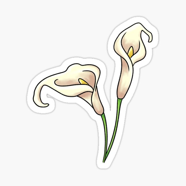 Regalos y productos: Lirios Cala | Redbubble