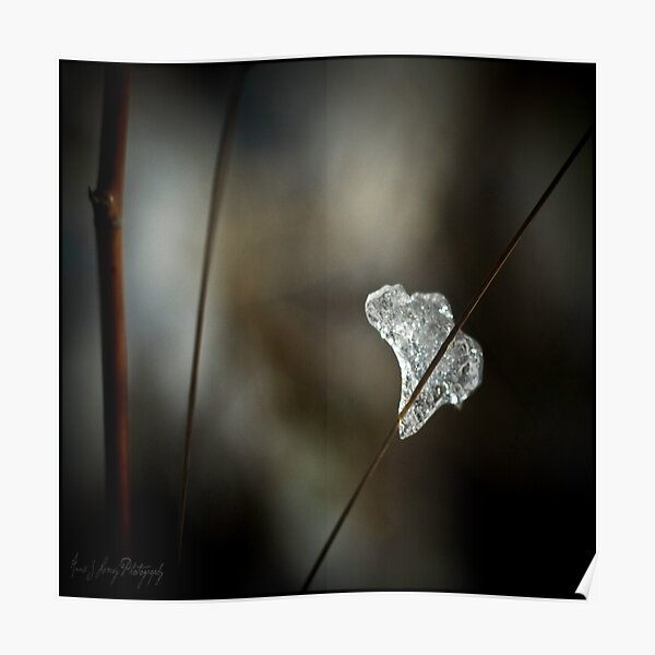 Ice of Africa Poster