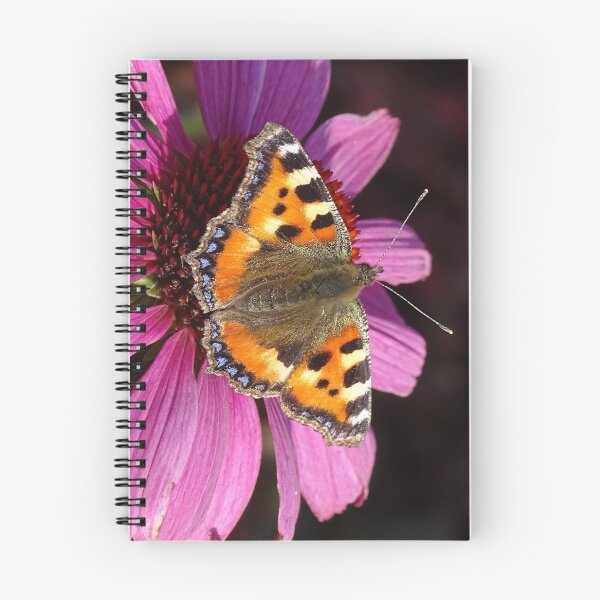 Item preview, Small tortoiseshell butterfly – Aglais Urticae designed and sold by Barrie Woodward.