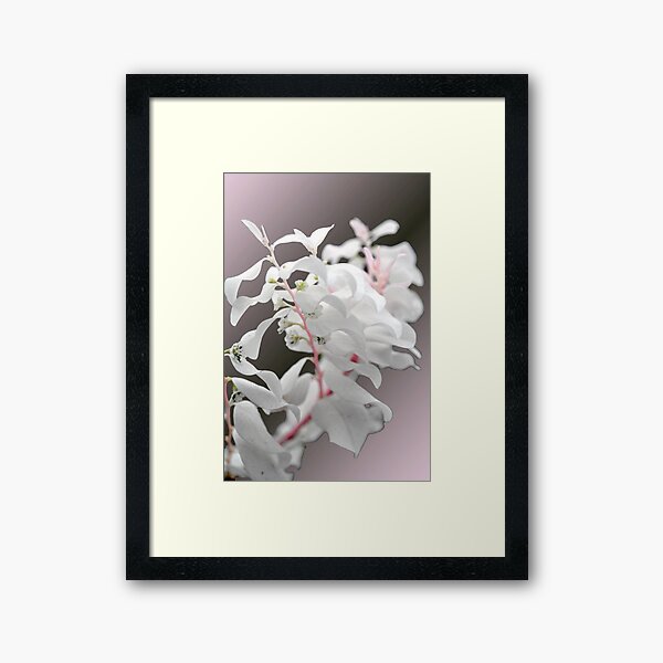 Tropical White Framed Art Print