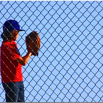 Artwork thumbnail, Fenced In by Chet King
