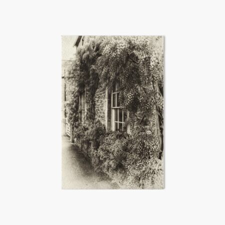 The Wisteria Window Art Board Print