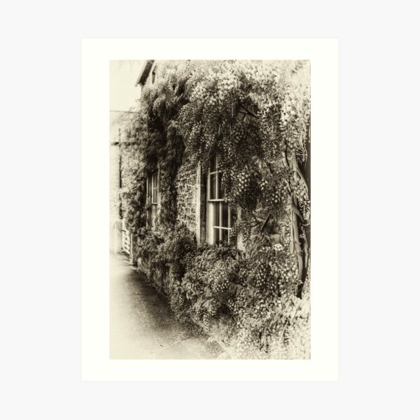 The Wisteria Window Art Print