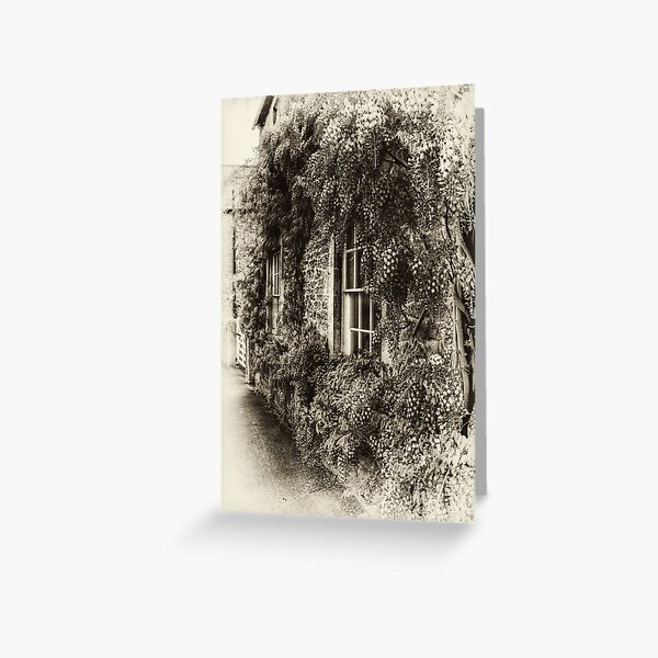 The Wisteria Window Greeting Card
