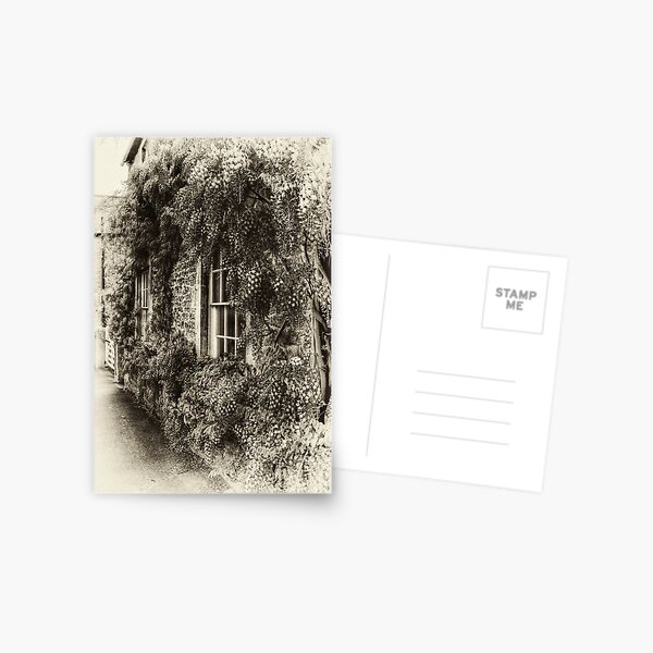 The Wisteria Window Postcard