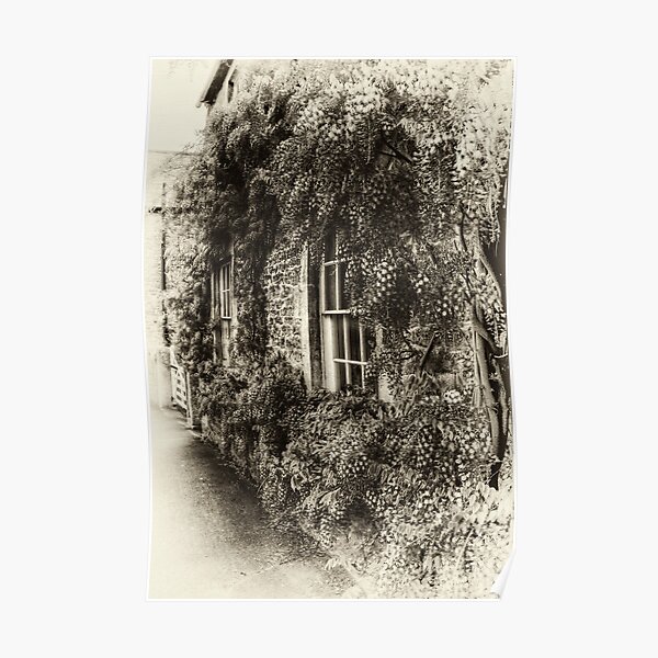 The Wisteria Window Poster