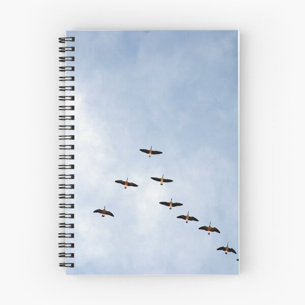 Item preview, Flying in formation designed and sold by fishinmusician.