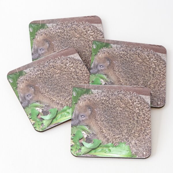 Item preview, Hedgehog, animal, nature designed and sold by Sternchen2789.