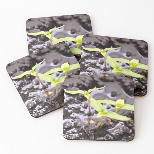 Item preview, Red Pepper Chilli Sprouts  designed and sold by 8FistsofTees.