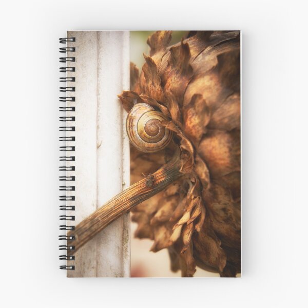 Item preview, Autumn Palette designed and sold by RJDowns.