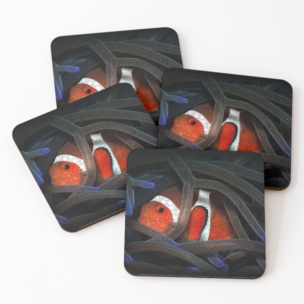Item preview, Clown Fish Hiding In Anemone designed and sold by Heathermarie321.