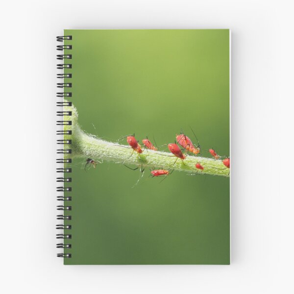 Item preview, Red Aphids designed and sold by Gary Horner.