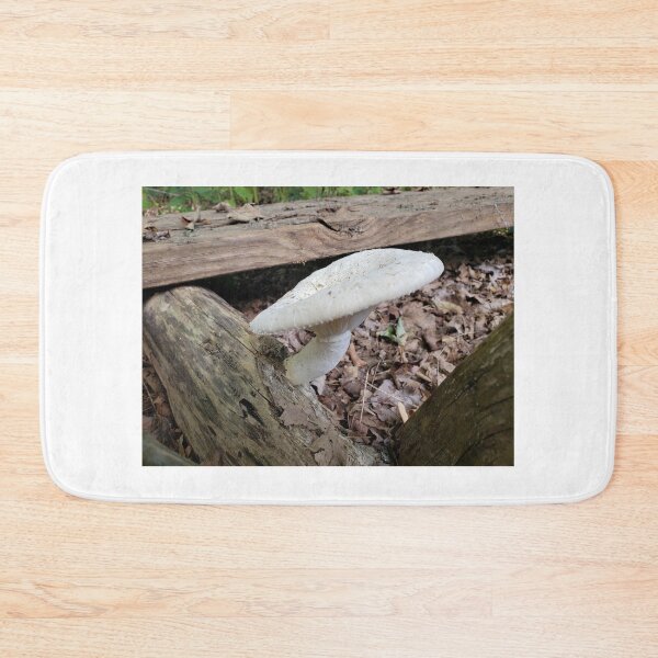 Item preview, Wild White Mushroom designed and sold by Christine  Bialczak.