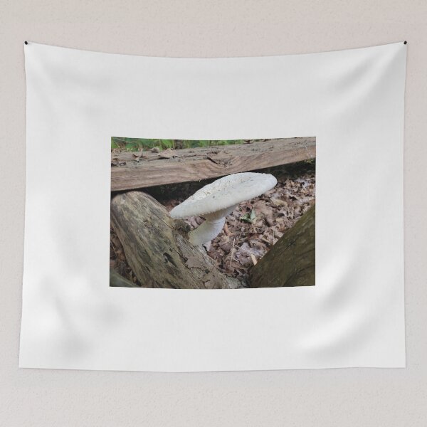 Item preview, Wild White Mushroom designed and sold by Christine  Bialczak.