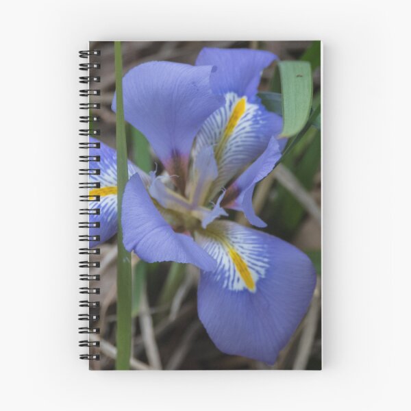 Item preview, Blue Iris flower Leith Park 20150813 0049   designed and sold by Fred Mitchell.