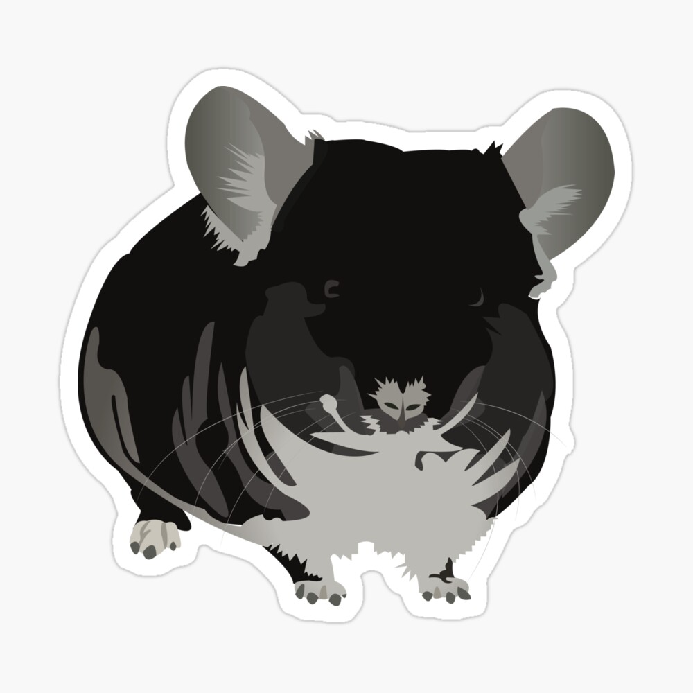 Leonardo The Chinchilla Poster For Sale By Kcpetportraits Redbubble
