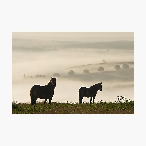 Item preview, Ponis de Exmoor en Winsford Hill designed and sold by Nick Pound.